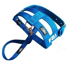 Conjunto Peito e Guia FBI Pet Club