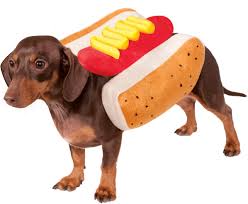 Fantasia Hot Dog Pet